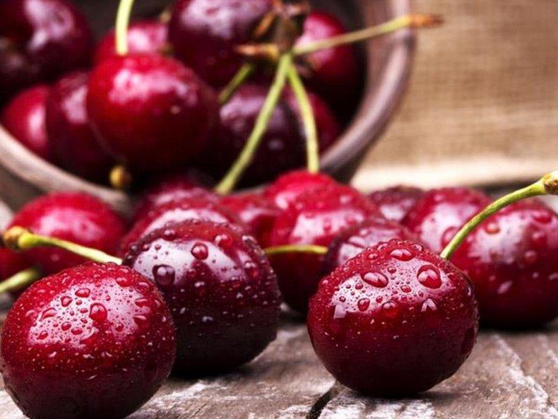Вишня купить саженцы из питомника в Артёме